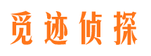 平舆市婚姻调查